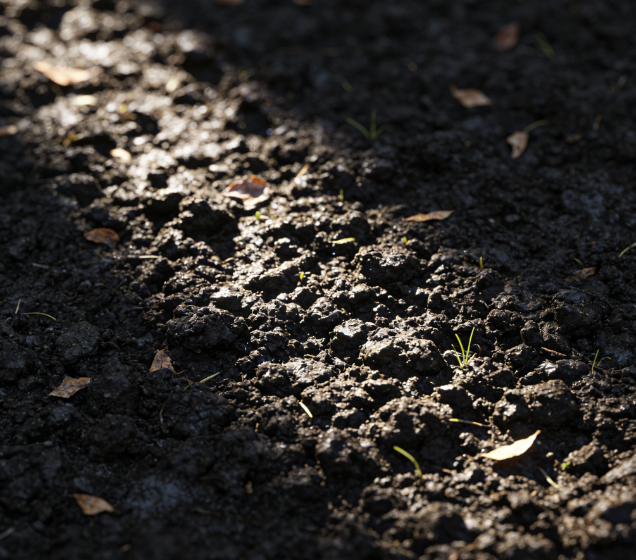 便攜式土壤重金屬測定儀多少錢?2026最新報價及采購指南